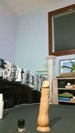 OwnedToy webcam cam4 model stream image