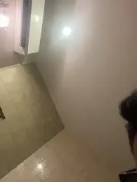 RoyDino webcam model stream image