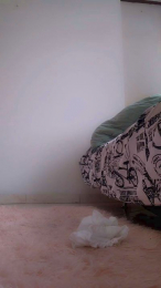 Giapajon webcam model stream image