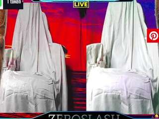 zeroslash webcam model stream image