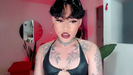 little_star_porn webcam model stream image