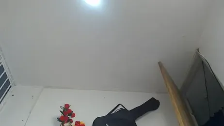 brown_halos webcam model stream image