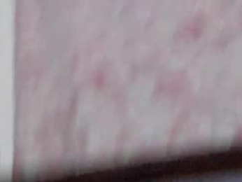 dankfuckcouple webcam model stream image
