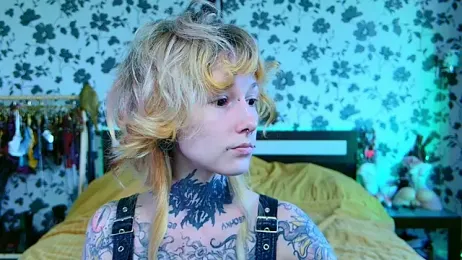 Littlespacemouse webcam model stream image