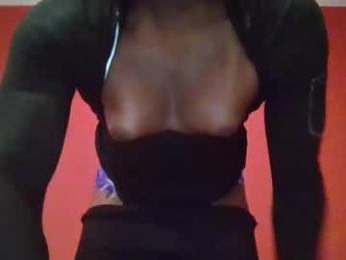 1blinker webcam model stream image