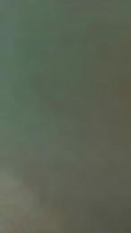 Liber4ce webcam model stream image