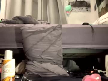 stonv webcam model stream image