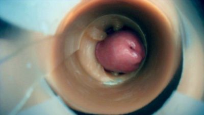 scar76 webcam cam4 model stream image