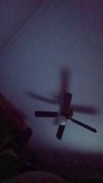 thaplug420 webcam model stream image