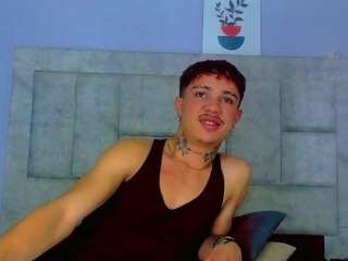hannilest webcam model stream image