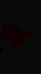 doubysexy84ver1 webcam cam4 model stream image