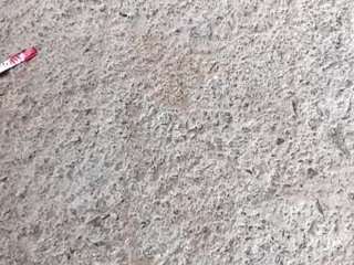 jamshed11 webcam model stream image
