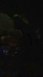 bingo65 webcam model stream image