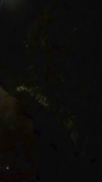 bingo65 webcam model stream image