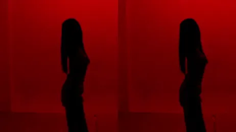 STY-0809 webcam model stream image