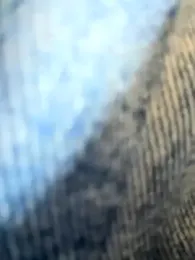 Emily-Nguyen webcam stripchat model stream image