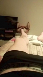 luca2076 webcam model stream image
