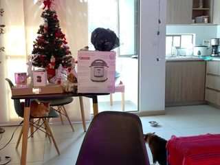 kendallcurkovaa webcam model stream image