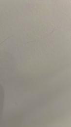 Pucemoi webcam model stream image