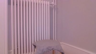 clscls1 webcam model stream image