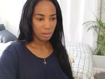 shinyplace webcam model stream image