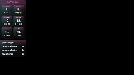 Stannlyy webcam model stream image