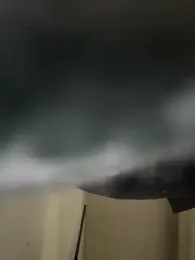 curis4270panda webcam model stream image