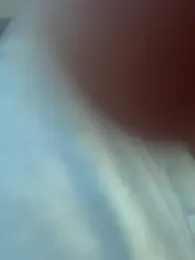 curis4270panda webcam model stream image