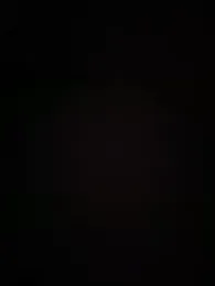 curis4270panda webcam model stream image