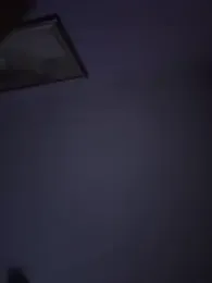 curis4270panda webcam model stream image