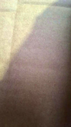 Plair4421 webcam model stream image