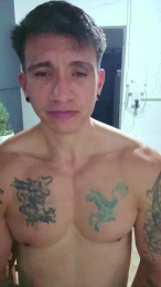 loboestepario14 webcam model stream image