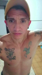 loboestepario14 webcam model stream image