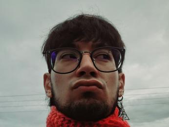 FrancisBlue webcam model stream image