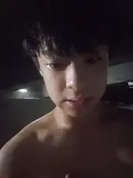 qvq1008 webcam model stream image