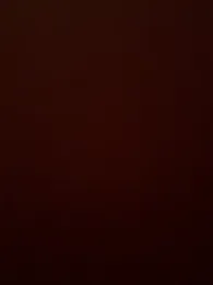 PublicBbc webcam model stream image