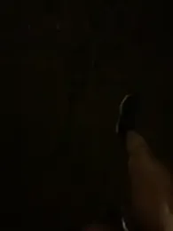 PublicBbc webcam model stream image