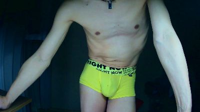 t_ky_TARO webcam model stream image