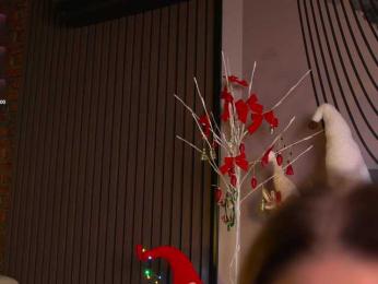 BabyMVD webcam model stream image