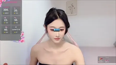 R_R6 webcam model stream image