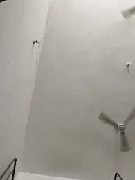 WettedGlimpse webcam model stream image