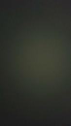 Rapniv2 webcam model stream image