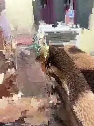 its_Surya_BBC webcam model stream image