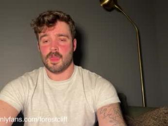 forestcliff webcam model stream image