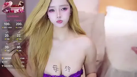 lkjfdsks webcam model stream image