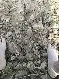 fullyhardy webcam model stream image