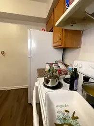 RinaErota webcam model stream image