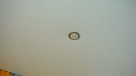 IolaHogue webcam model stream image