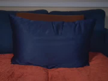 cal_swim webcam model stream image