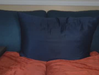 cal_swim webcam model stream image